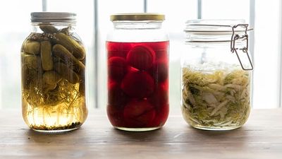 Your gut, your health, your brain: Why everyone talks about the microbiome