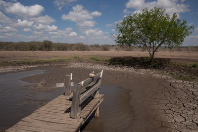 Corpus Christi Water Crisis Spurs Stampede on South Texas Aquifers