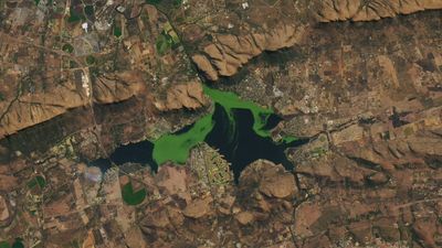 Deadly, vivid-green mass sprawls across South African reservoir — Earth from space