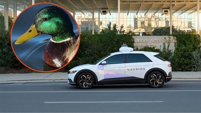 Grieving locals in Austin, Texas call for self-driving cars to be banned after robotaxi runs over beloved duck