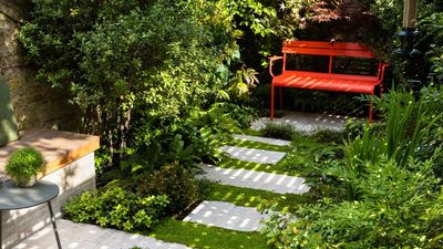 This Garden Designer's 'Creeping' Lawn Alternative Is Her Secret to Making Hard Landscaping Feel Softer and "Blurring Thresholds"
