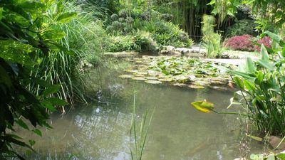 TikToker starts drinking pond water in Yosemite every day, his followers are spiraling after he goes silent six days in