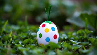 ‘I can only imagine’: California kids on Easter egg hunt stumble across infant’s skull buried in the ground