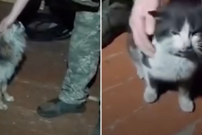 Ukraine soldiers rescue cat and dog stuck on front line in 7.5 mile drone operation