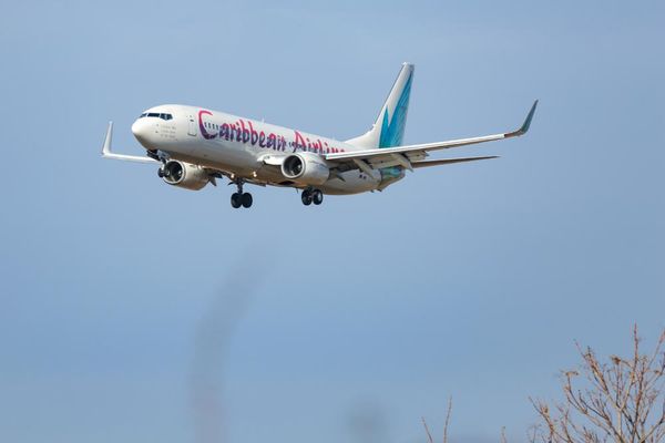 Stork warning: woman gives birth midair on Jamaica-to-New York flight