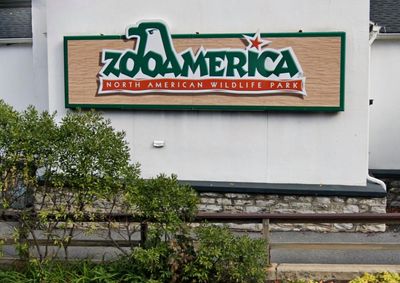 Parents charged after toddler snuck into wolf enclosure at Pennsylvania zoo