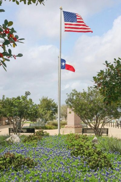 Texas SNAP Alert New Sugar and Candy Restrictions Now Blocking Purchases at Checkout