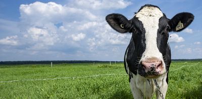 From ‘sustainable’ to ‘regenerative’ agriculture: What’s in a name?