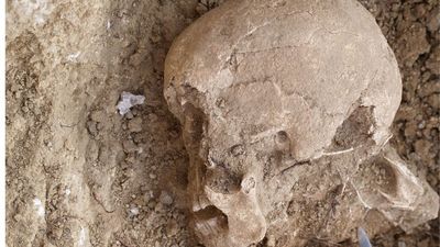 DNA reveals ancestry of man buried in Stone Age monument in Spain, but his religion remains a mystery