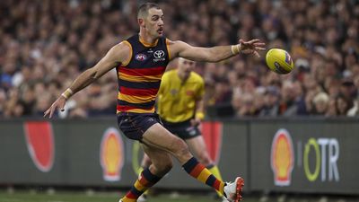 'Find a solution': Crows great on latest umpiring error
