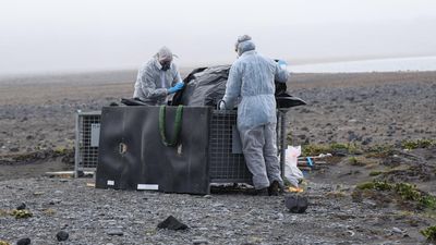 Full picture of deadly flu on island yet to be revealed