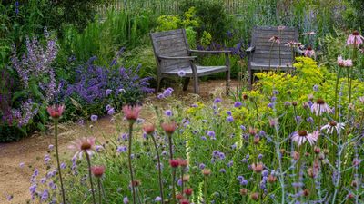 Emotional Gardening Is Trending – 7 Plants to Try in Your April Garden That Boost Mood and Mindfulness