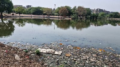 Concrete over commons: How Delhi’s vanishing wetlands are choking on bureaucracy
