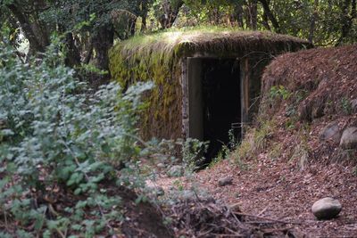 Chile’s far-right government rips up plan for memorial at Pinochet torture site
