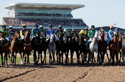 Grand National 2026: horse-by-horse guide to all the runners
