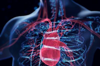 Scientists develop AI tool to spot heart failure risk five years before it strikes