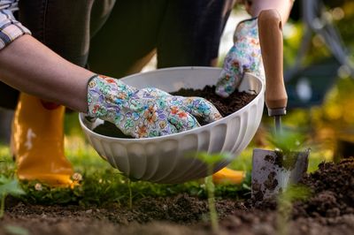 Why Some Plants Reject Fertilizer and How to Adjust