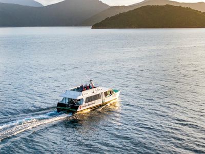 An irresistible adventure activity for New Zealand visitors? Delivering the mail by boat