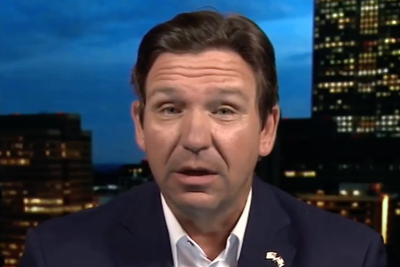 Ron DeSantis and Sean Hannity get into an awkward exchange over Florida’s law that allows cousins to marry