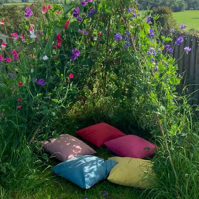 How I make my sweet pea tents (and why you should too) – no complicated carpentry, no fancy tools, just some bamboo canes, string and a bit of patience
