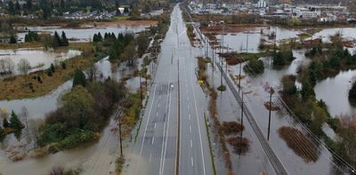 New research shows how forests can prevent floods of all sizes