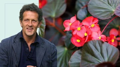 Monty Don candidly recalls why he 'practically needed a bodyguard' after confessing his dislike for one hugely popular plant