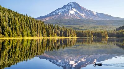 Oregon Could Be the Retirement Haven You Don't Know About: 13 Facts to Consider, From a Financial Planner Who Lives There