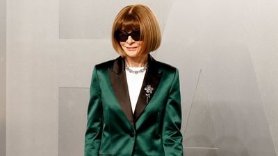 'I like my age - I feel as alive, excited, and aware as ever': Anna Wintour's softer side emerges with rare glimpse of life beyond Vogue