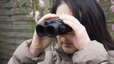 Kenko Vc Smart 14x30 Light review: image-stabilized binoculars without the weight