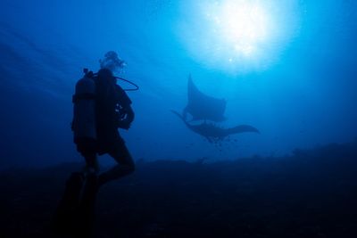 Ocean protections clash with mining pressure in Indonesia's most diverse marine ecosystem