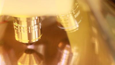 China intensifies efforts to poach semiconductor talent from Taiwan, claims report — international restrictions motivate illicit efforts to obtain talent and equipment