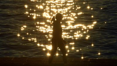 Facts over fear: data needed on brain fog in menopause