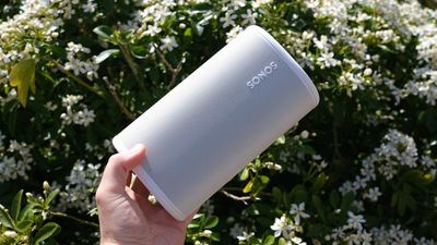 I took the Sonos Play to the park, and you should too (while it's hot, anyway)
