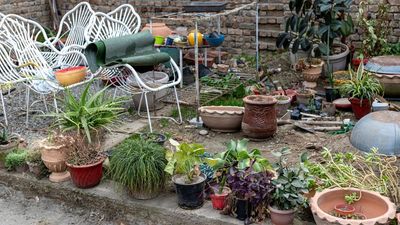 5 things that make your backyard look messy — and how to quickly fix it