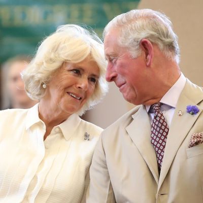 Former Royal Gardener Reveals King Charles and Queen Camilla’s Busy Social Lives At Their Private Residences