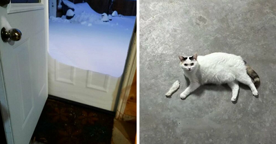 73 Unedited Photos That Might Mess With Your Already Tired Brain (New Pics)