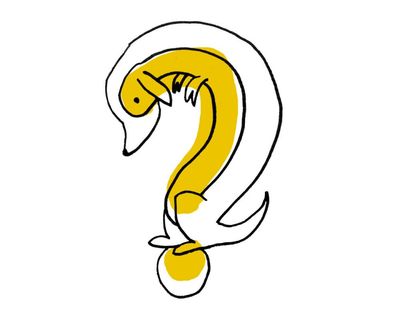 Thursday news quiz: spaceship crews, planning news and who is in a meltdown?