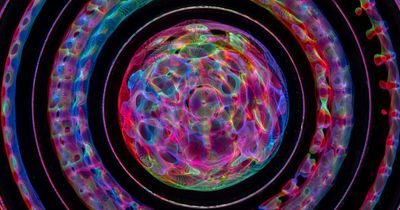 Test Yourself With 28 Tricky Visual Brainteasers People Struggle With: Take The Quiz