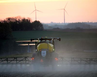 Campaigners demand action to break UK’s ‘addiction’ to controversial herbicide