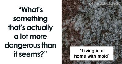 43 Surprisingly Dangerous Things You Shouldn’t Learn About The Hard Way