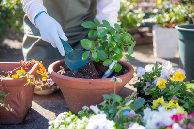 The surprising health benefits of gardening for your body and brain