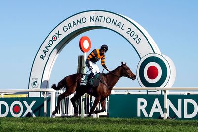 Grand National shock as reigning champion Nick Rockett is ruled out