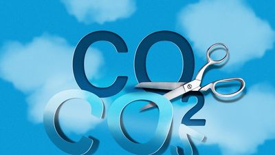 Exclusive: JPMorgan strikes carbon removal deal that doubles as wildfire prevention