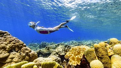 Solomon Islands tourism rebounds: What travellers can see and do in the island nation