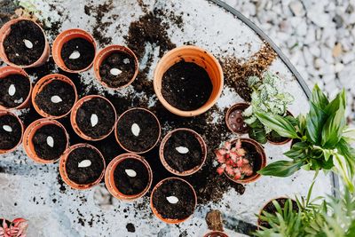 7 Budget Seed Storage Tips That Preserve Germination