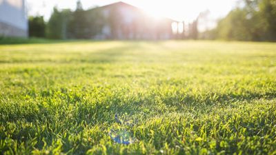Your Lawn Needs This Simple April Fix to Stay Green All Summer – Pros Say It's the One Job to Prioritize Now