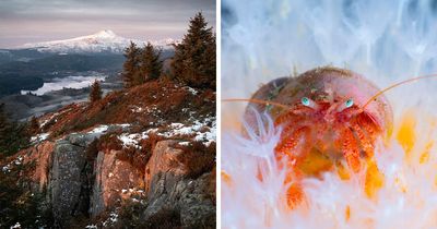 31 Stunning Photos That Celebrate Scotland’s Wild Side Have Been Shared By The 2025 SNPA