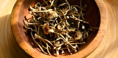 Psilocybin mushrooms are going mainstream, but scientific research and regulation lag behind