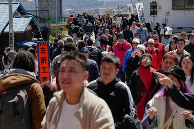 The crisis that cancelled Japan’s annual cherry blossom festival