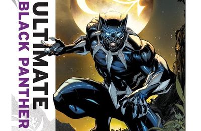 A Detour on Diversity: Did DC and Marvel Give Up on Black Superhero-Led Comics?